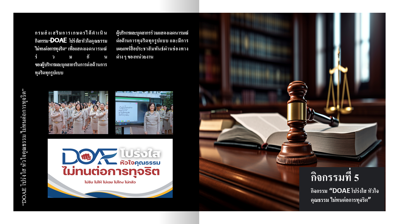 Slide11